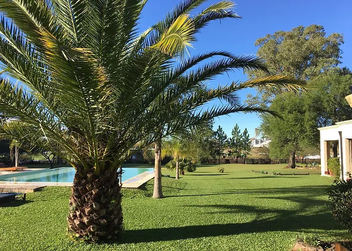 Noha Casa de Campo