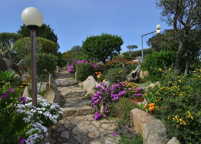La Fonte Dell'Ulivo 3