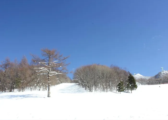Snow Freak Sunrise