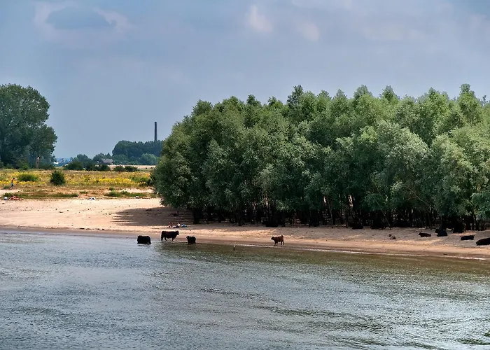 Hotel Restaurant Oortjeshekken
