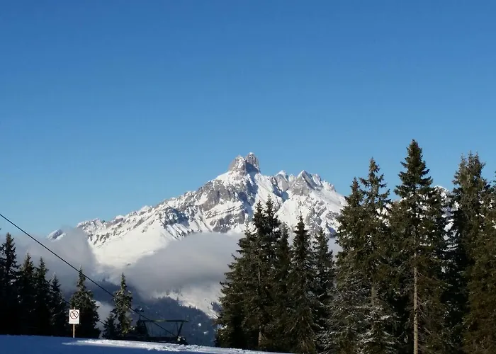 Ferienwohnungen Vierthaler