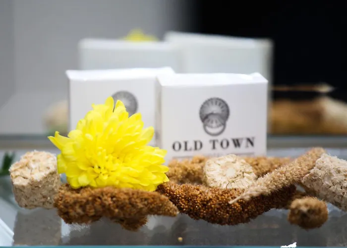 Old Town Hotel