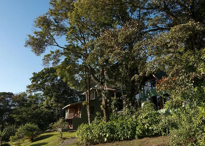 Hotel Flor De Bromelia