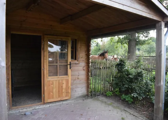 Groepsboerderij 20 Pers.