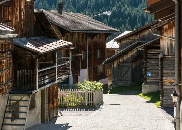 Disentis Mountain View