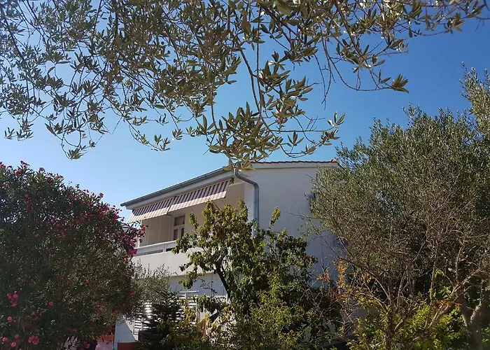Apartman Roko