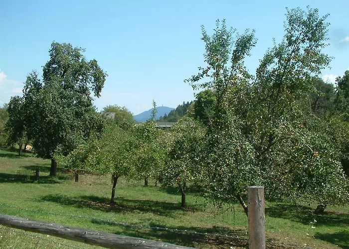 Ferienwohnung Woid Mandl