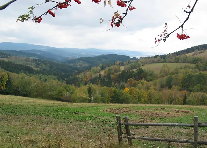 Hotel Srni Depandance - Sumava