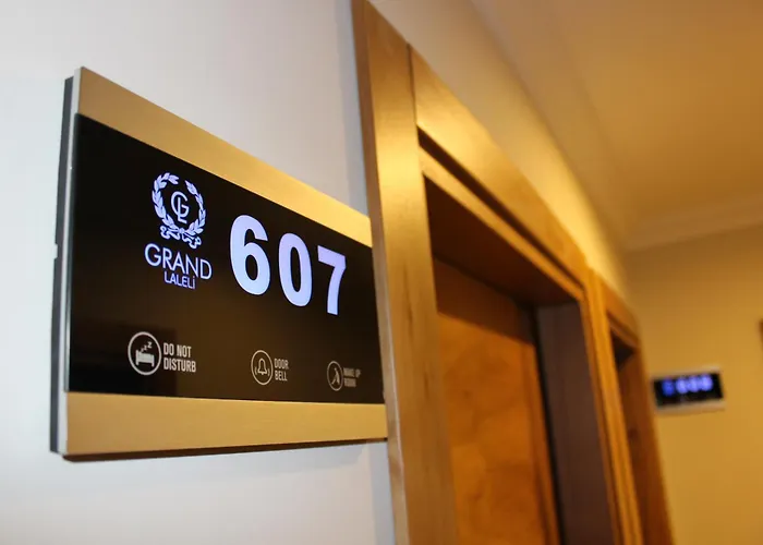 Grand Laleli Hotel