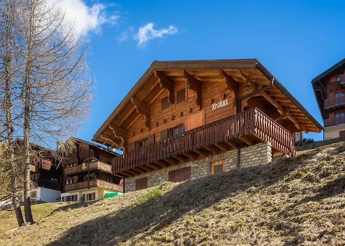 Chalet Krokus